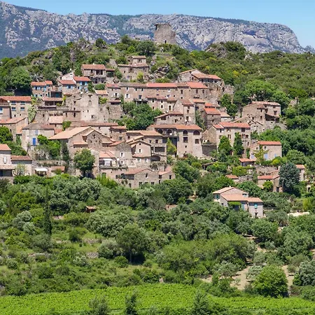 In St,laurent-de-la-cabr, With Kitchen Holiday home Saint-Laurent-de-la-Cabrerisse